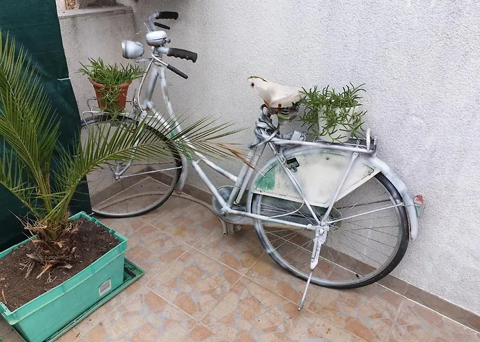 게스트하우스 로키&디바