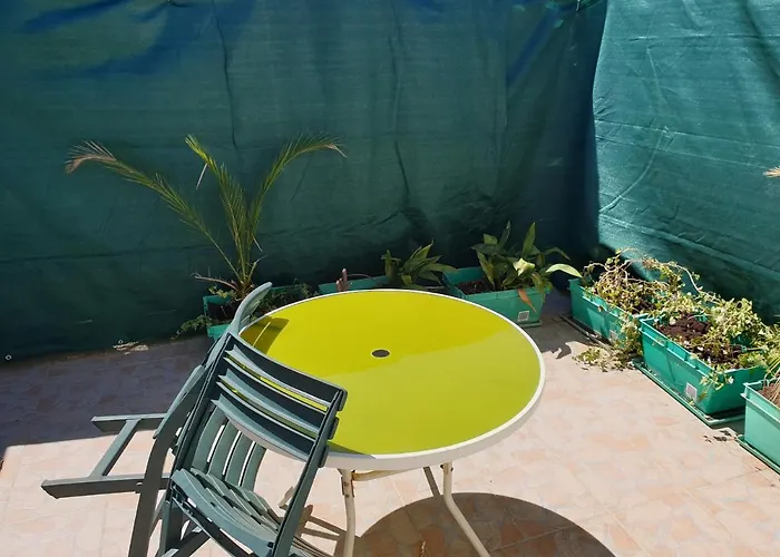 로키&디바 2* 자다르