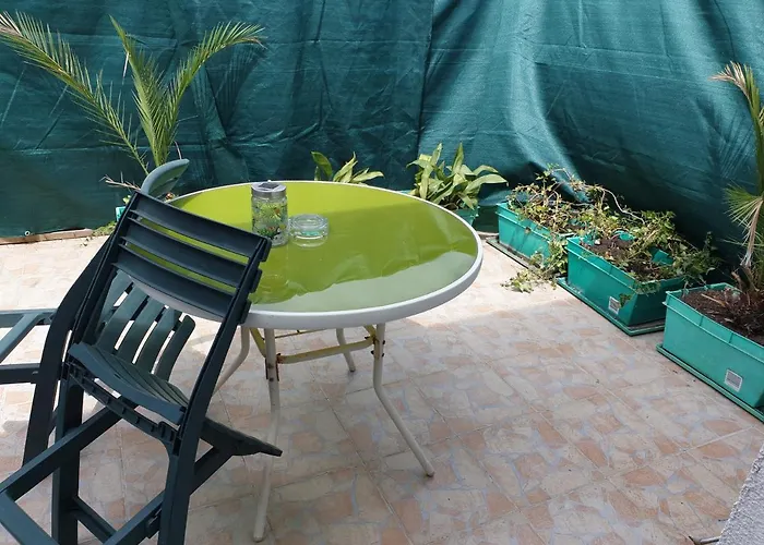 로키&디바 2* 자다르