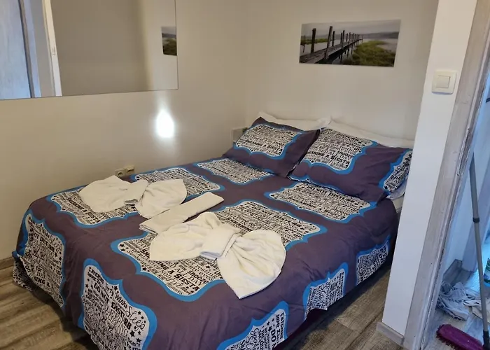 게스트하우스 로키&디바