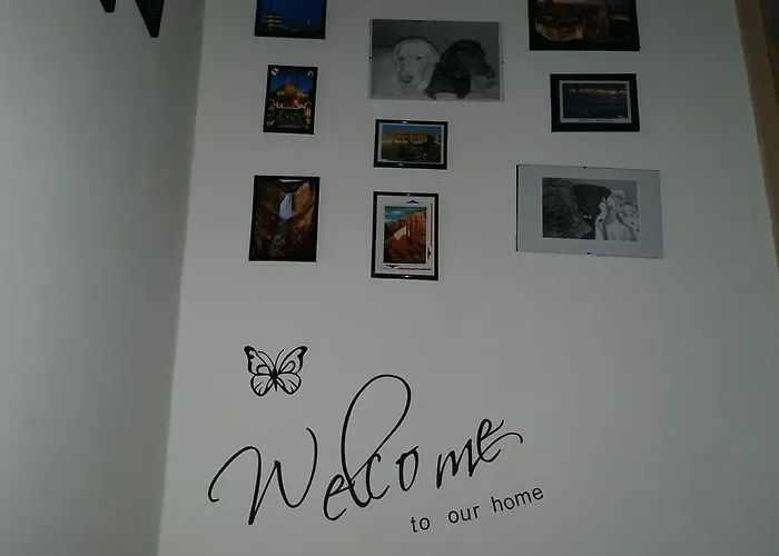 로키&디바 게스트하우스