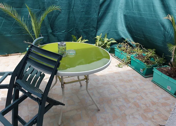 로키&디바 자다르