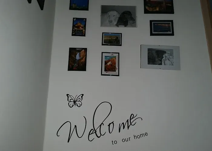 게스트하우스 로키&디바 2*