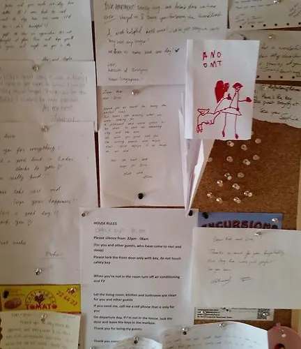 로키&디바 자다르