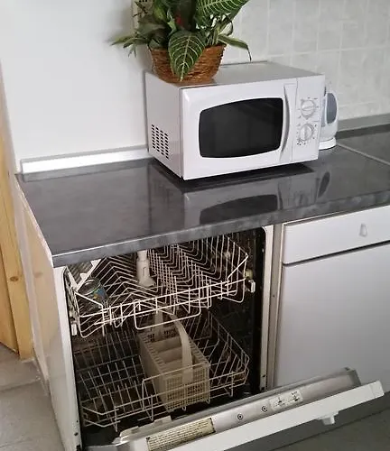 로키&디바 게스트하우스 2*