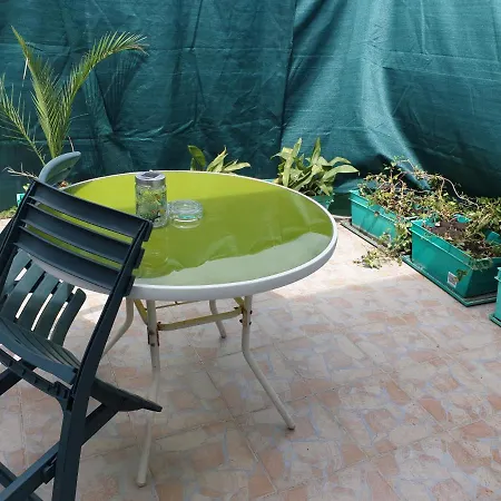 Roki & Diva 2* Zadar