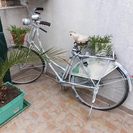 Roki & Diva (adults Only) بيت ضيافة 2*