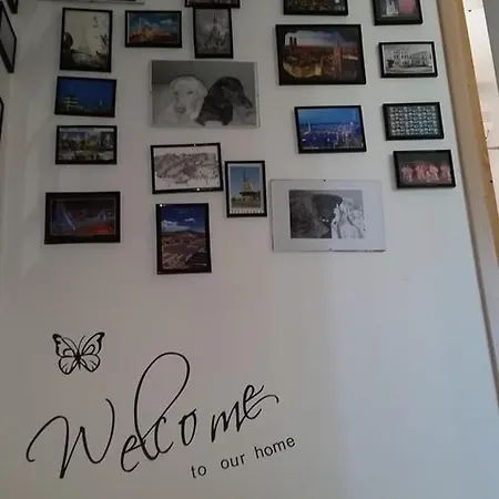 Roki & Diva (adults Only) زادار